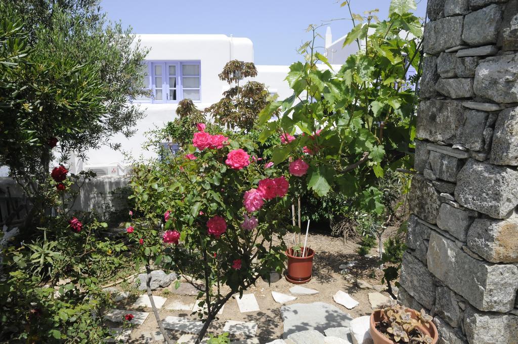 Andriani'S Guest House Mykonos Town 외부 사진